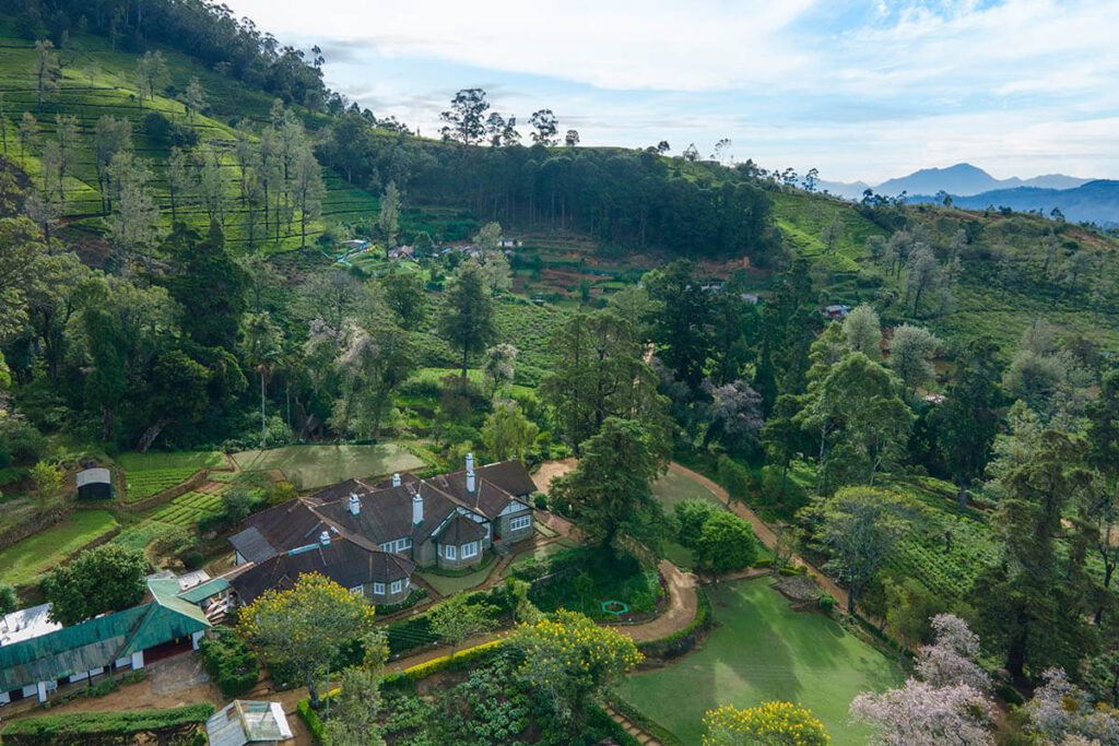 Uncover Amazing Hotel Discounts in Nuwara Eliya for Your Perfect Getaway