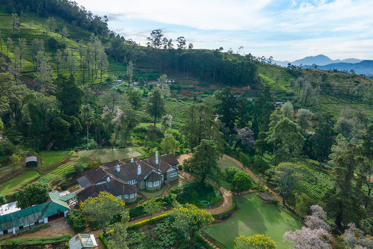 Romance in the Hills: Discover the Best Honeymoon Packages in Nuwara Eliya